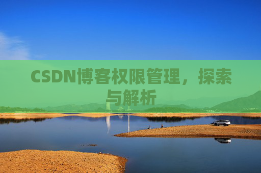 CSDN博客权限管理，探索与解析