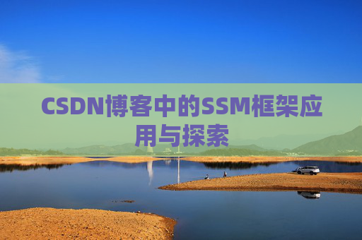 CSDN博客中的SSM框架应用与探索